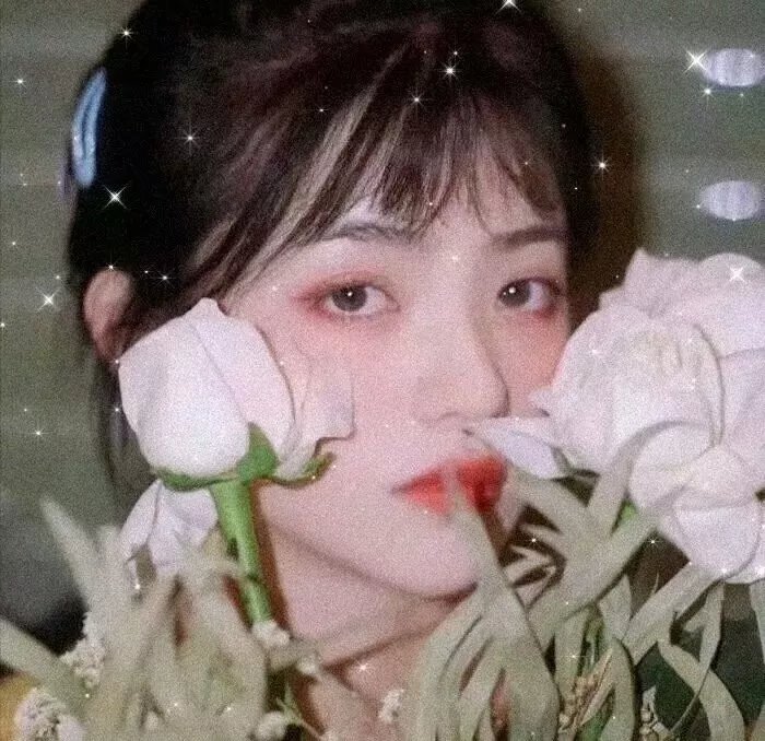 赘婿
