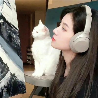 南来北往